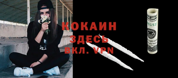 молекула духа Мегион