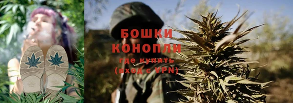 молекула духа Мегион