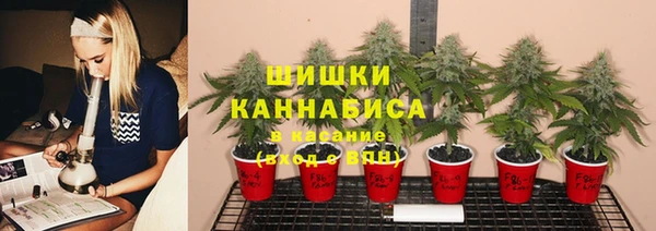 молекула духа Мегион