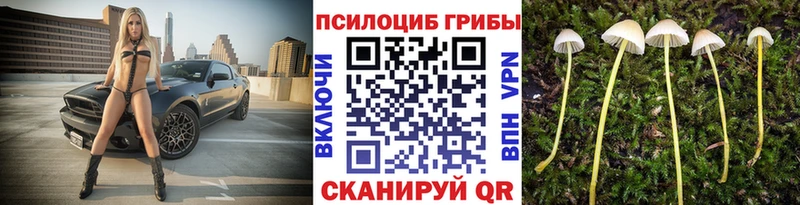 Купить закладки  Новодвинск  Галлюциногенные грибы прущие грибы 
