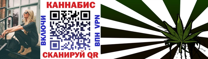 Купить закладки  Новодвинск  Конопля семена 